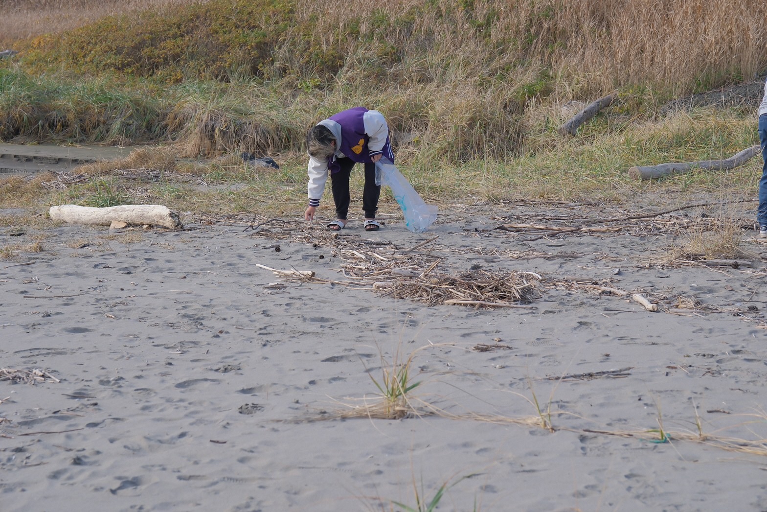 大久喜海岸でボランティア用ごみ袋を手に持ち、素手でごみを拾っている写真