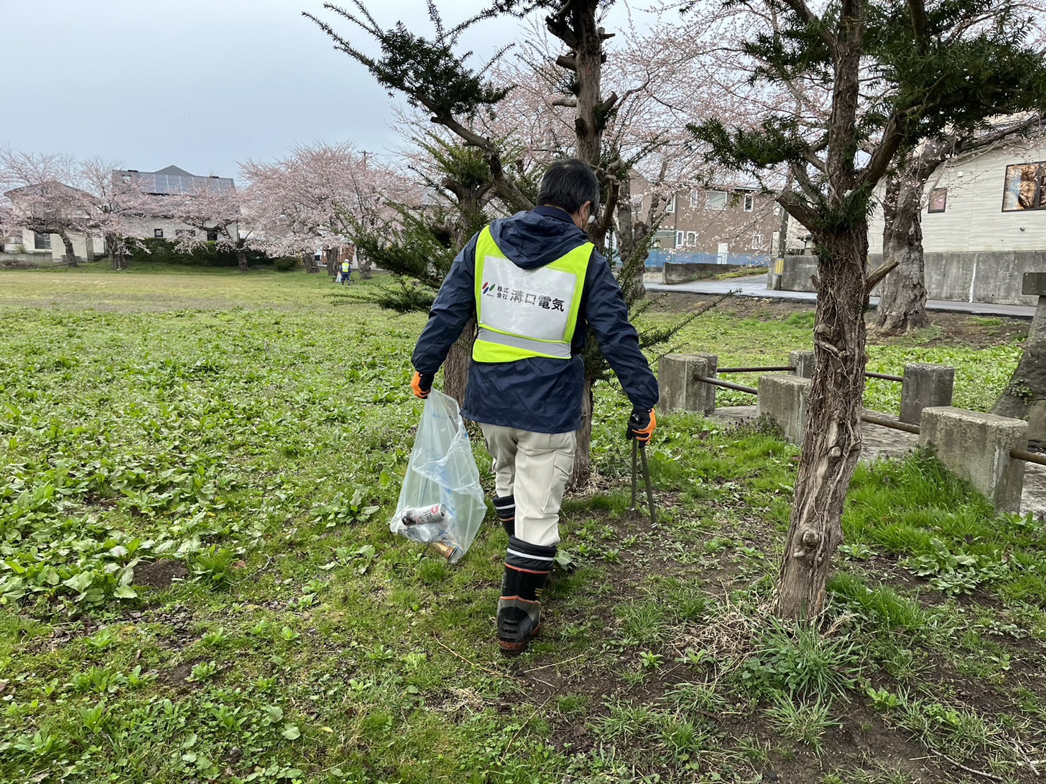 桜の花の咲く公園内でトングとごみ袋を手に持ち、活動する男性の写真