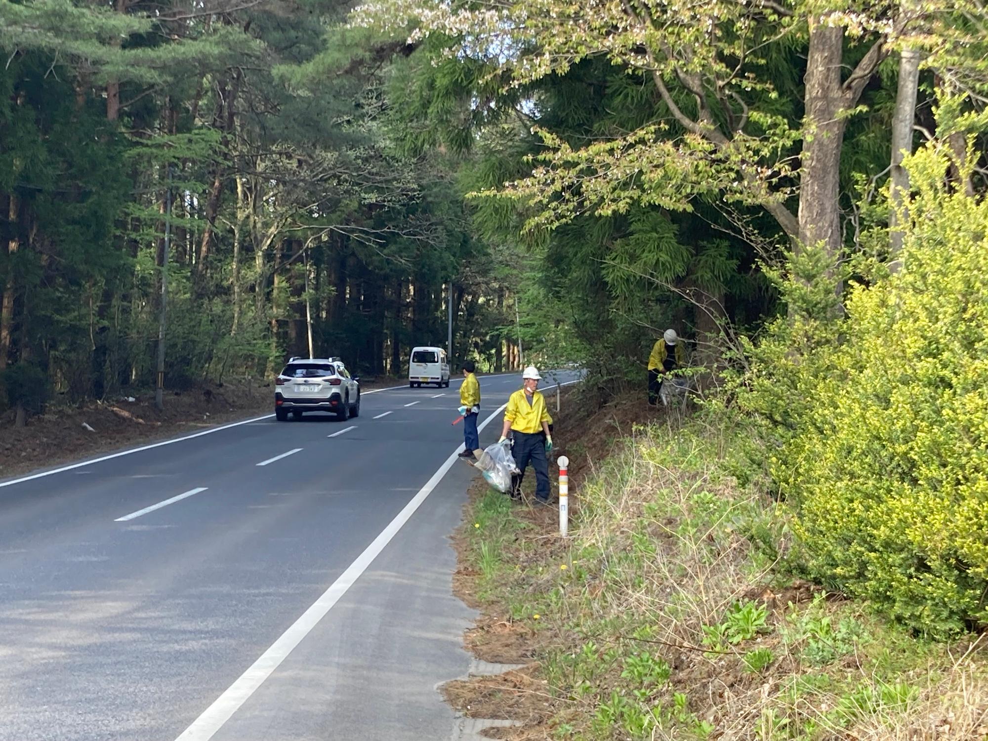 木々の生い茂る道路脇のごみをボランティア用ごみ袋を手にして、集めている写真