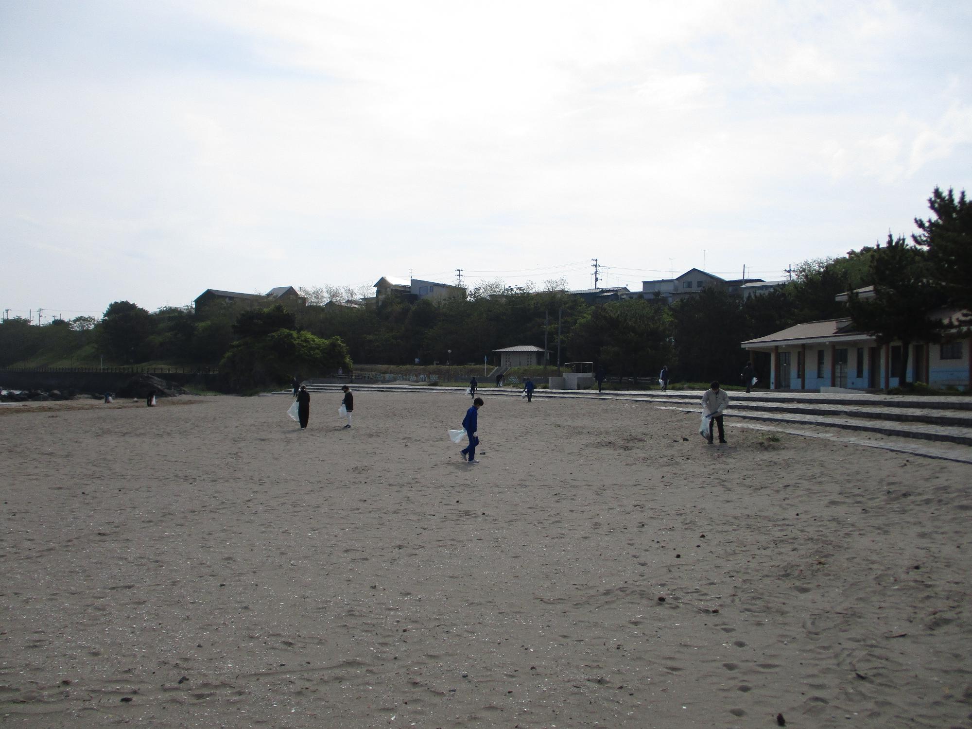 青空と砂浜の中で、活動する人たちの写真