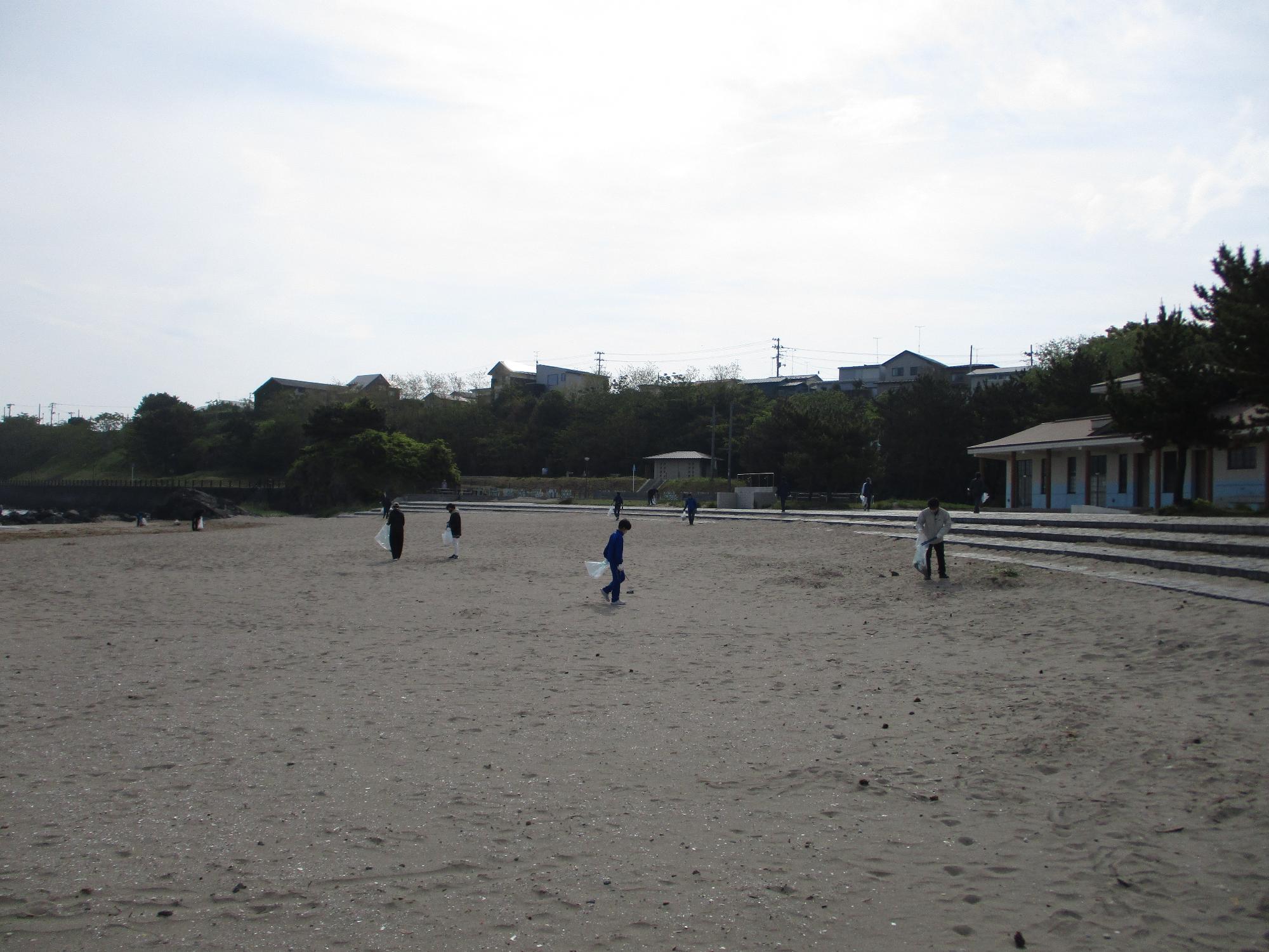 青空と砂浜の中で、活動する人たちの写真