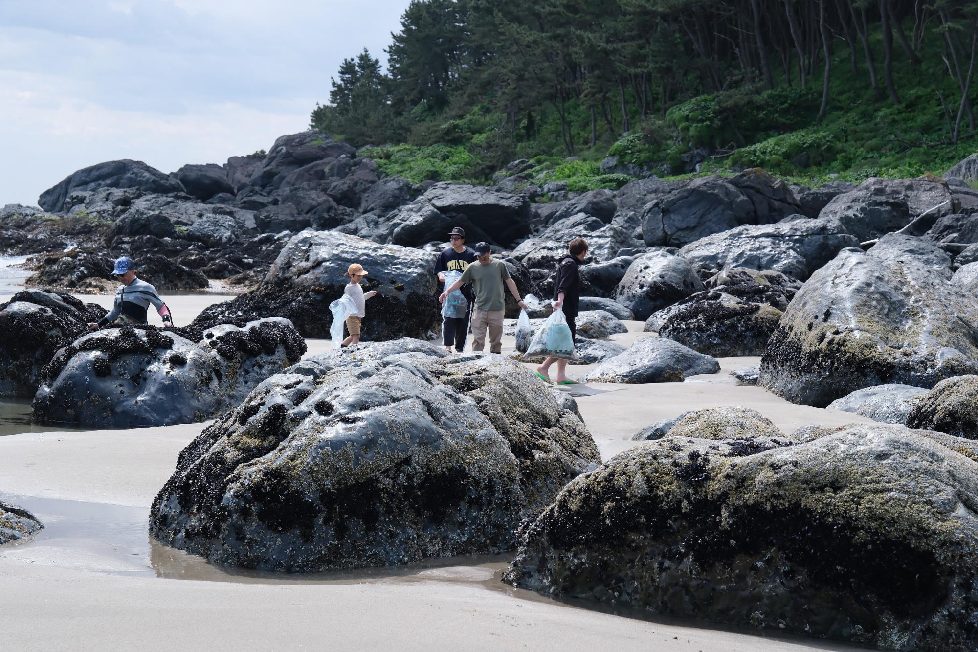 青空の下、大きな岩のある波打ち際でごみを拾っている5人の写真