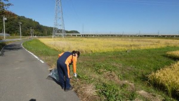 田んぼの広がる道路脇のごみを拾っている女性の写真