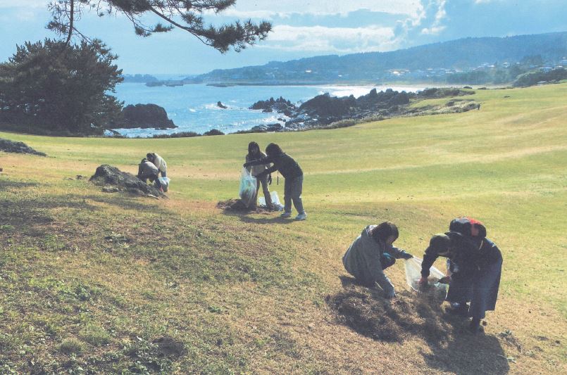 種差海岸芝生地で回収したものを袋に詰めている写真。バックに青い海と空が広がっている。