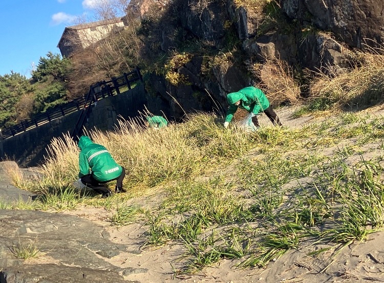 砂地に草の生えている場所のごみをしゃがんで拾っている三人の写真。