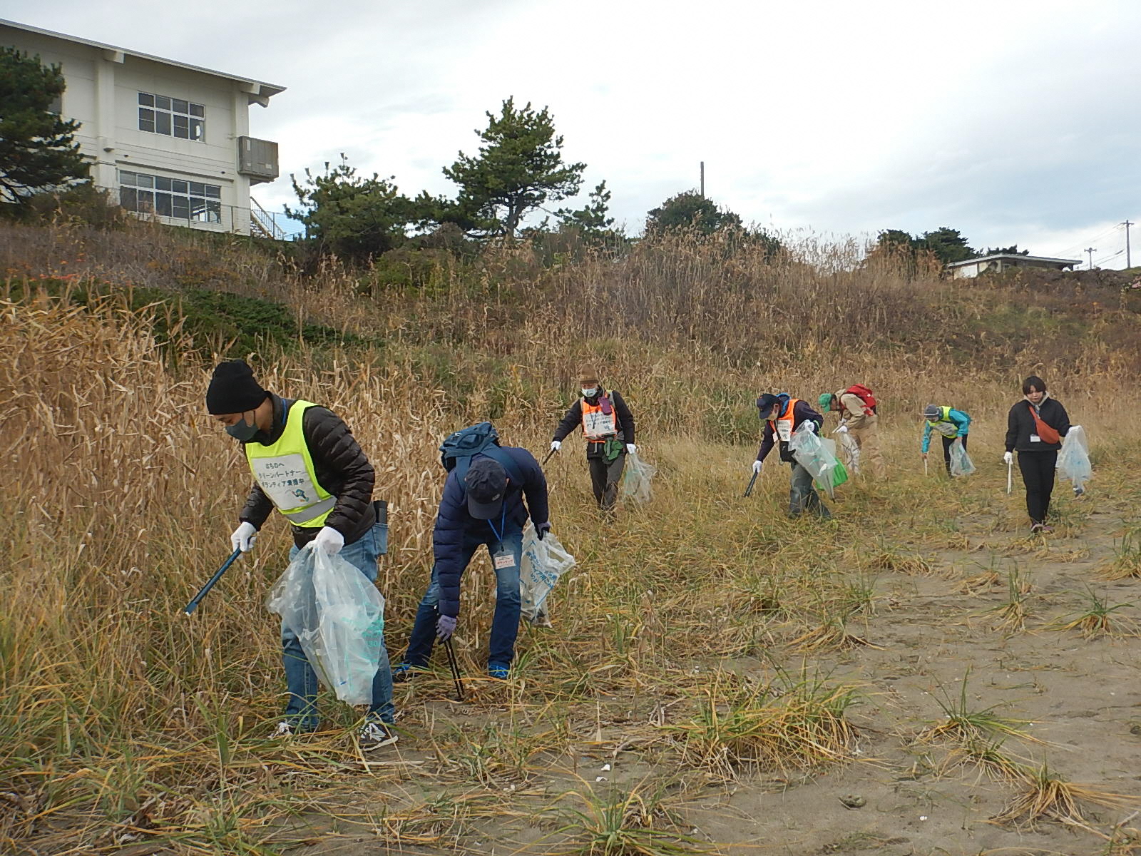 草の生えた砂地のごみをトングとボランティア用ごみ袋を手に拾う人たちの写真