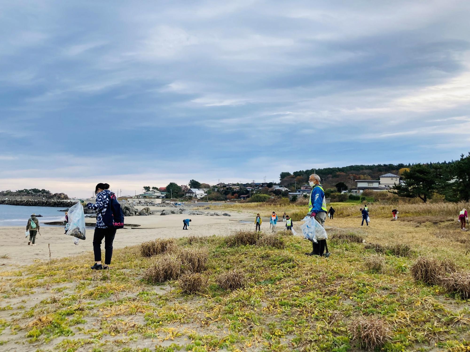 青空と海の見える場所。草の生えた砂地のごみを拾う人たちの写真。