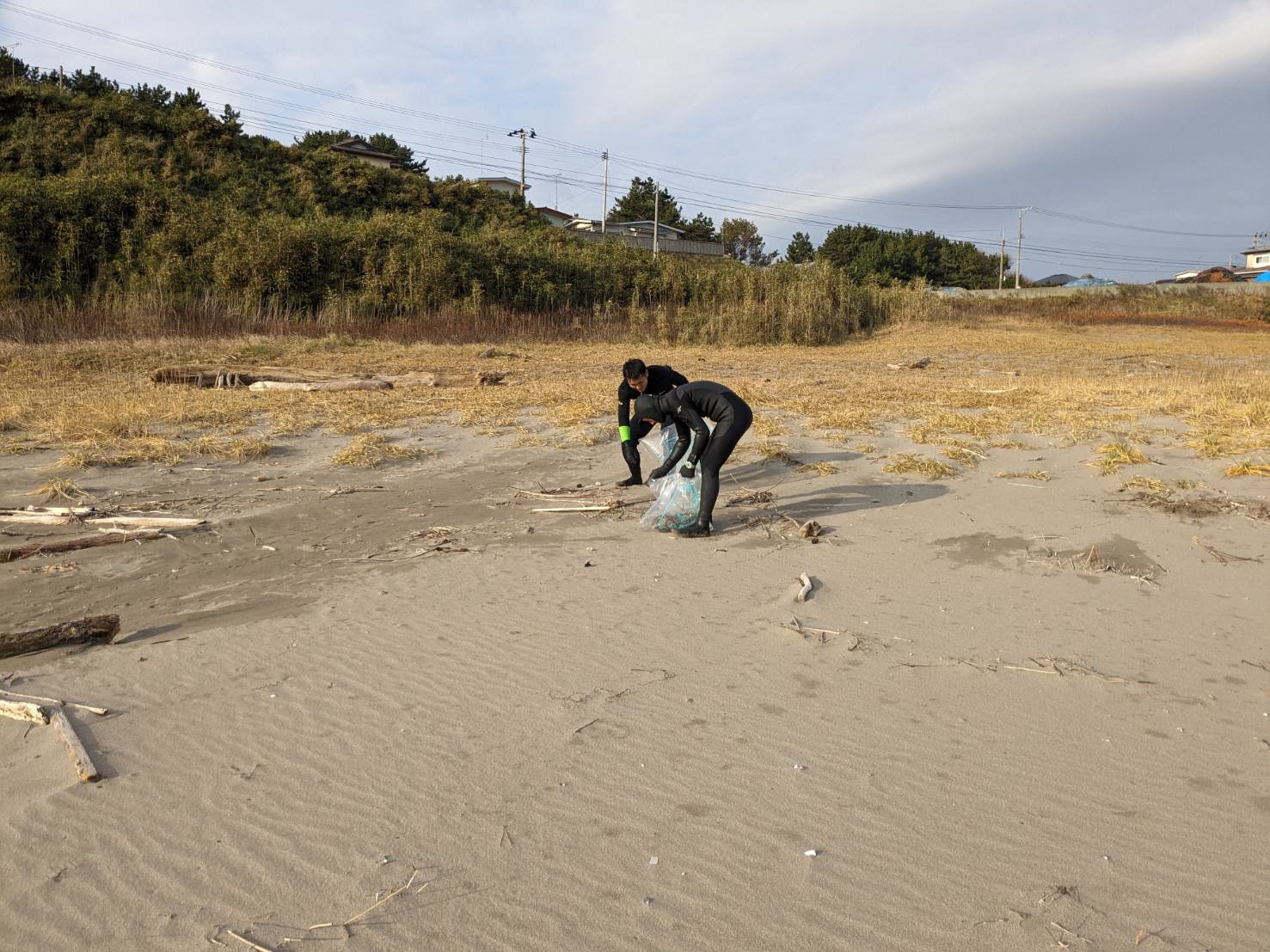 砂浜のごみを拾う男性二人