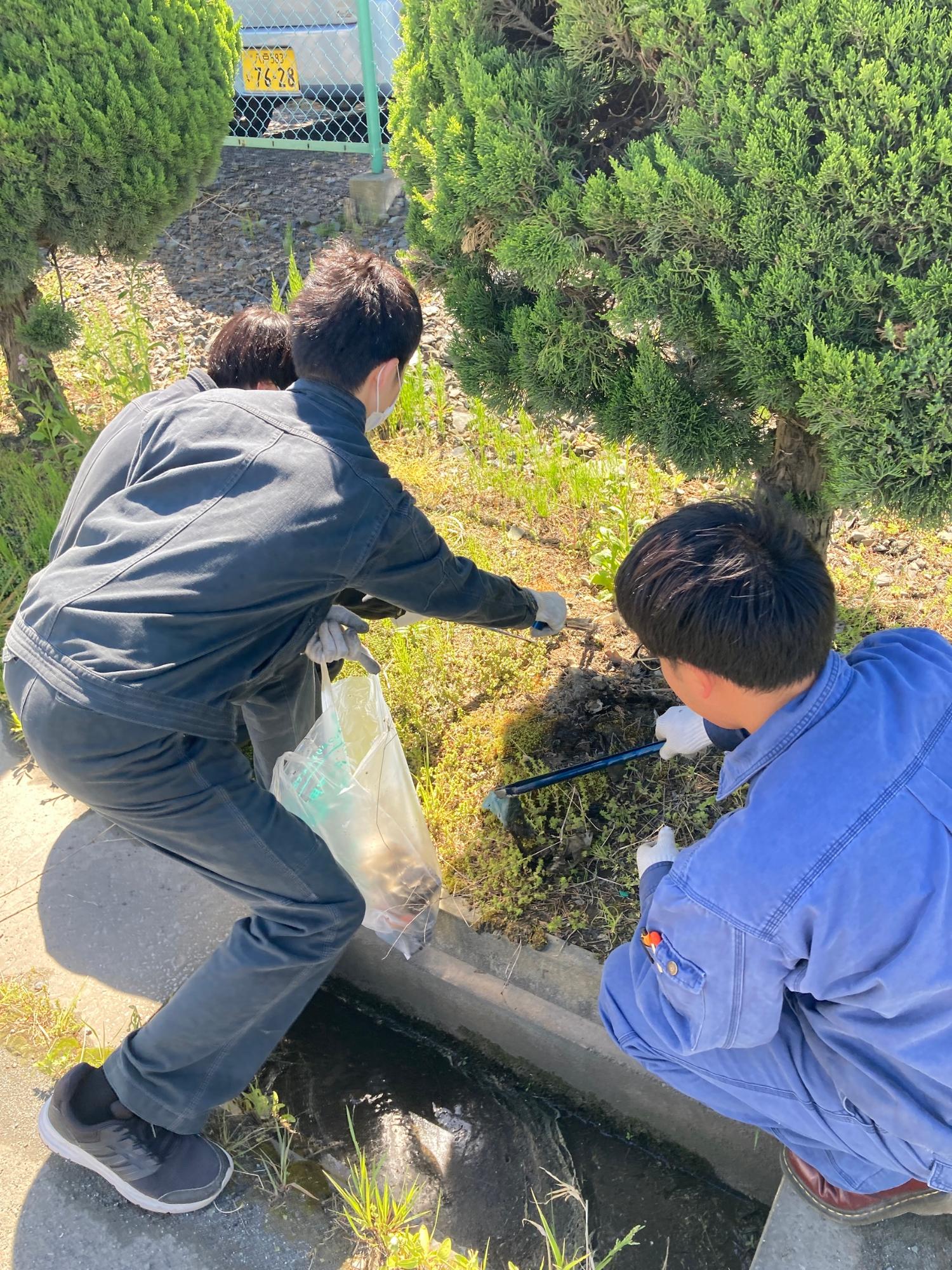 道路脇の草地のごみを拾う写真