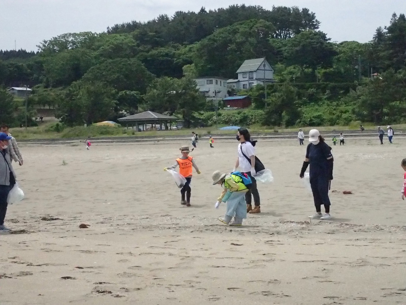 砂浜でごみを拾っている写真