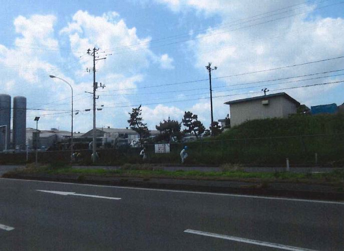 道路脇の