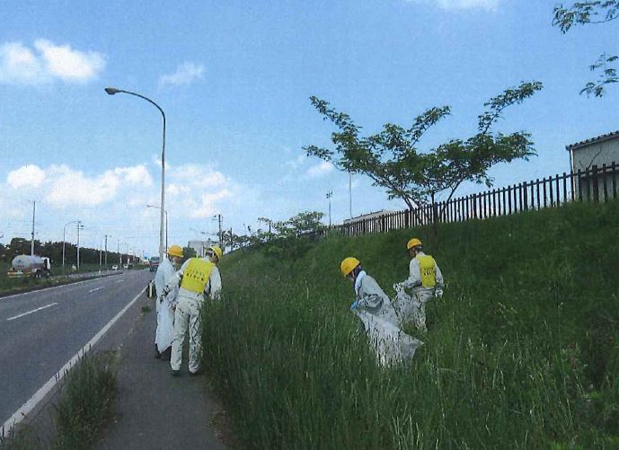 道路脇の草地のごみを拾う写真