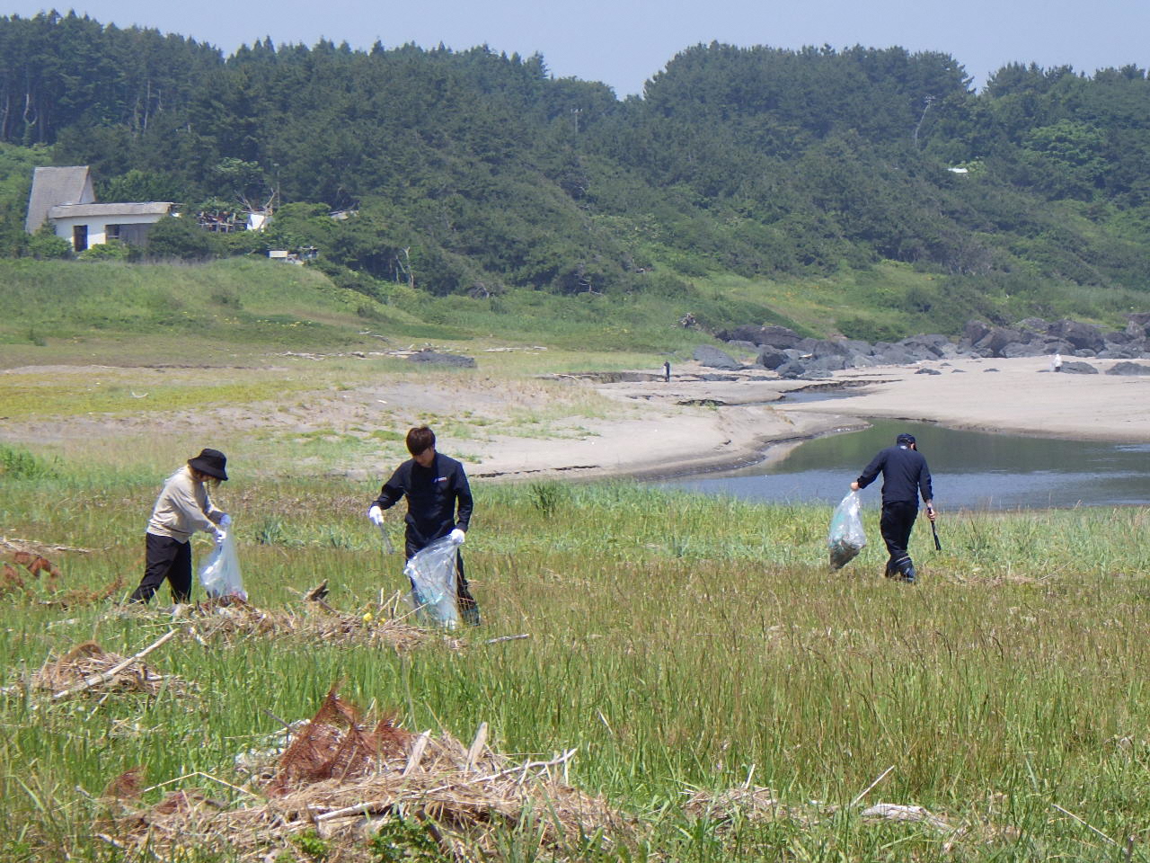 金浜海岸の草地のごみを拾っている写真
