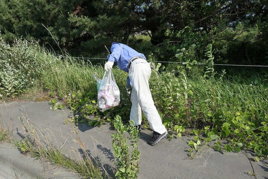 雑草の中からゴミを拾っている男性の写真