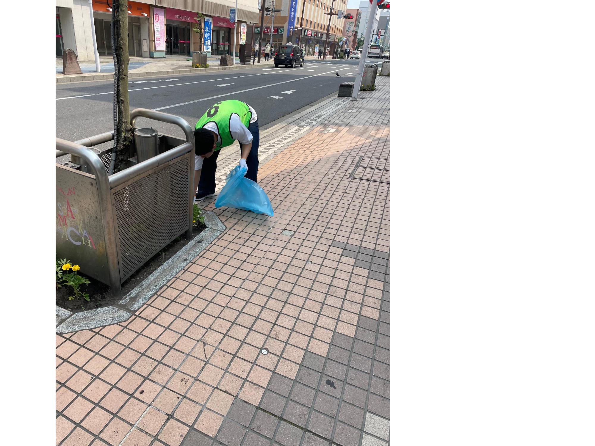 歩道に植樹されている木の囲いの周りのごみを、かがんで拾っている男性の写真