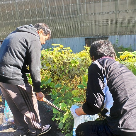 歩道の草むらからトングでごみを拾っている男性二人の写真