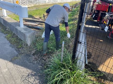 道路脇の草地の