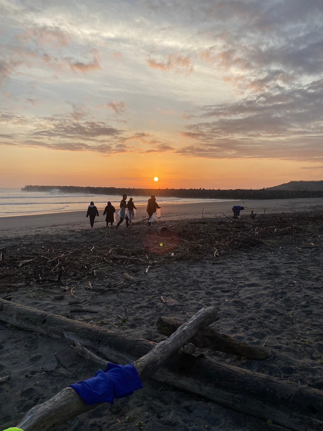 朝日ののぼるうす暗い海岸で活動する参加者の写真