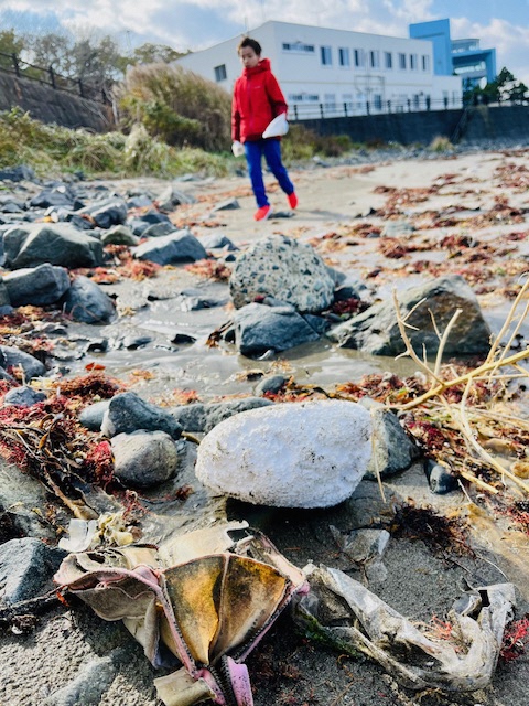 奥にマリエントが見える場所。砂浜にはごみや海藻、岩が広がっている。赤いパーカーの男児がごみ拾いをしている。