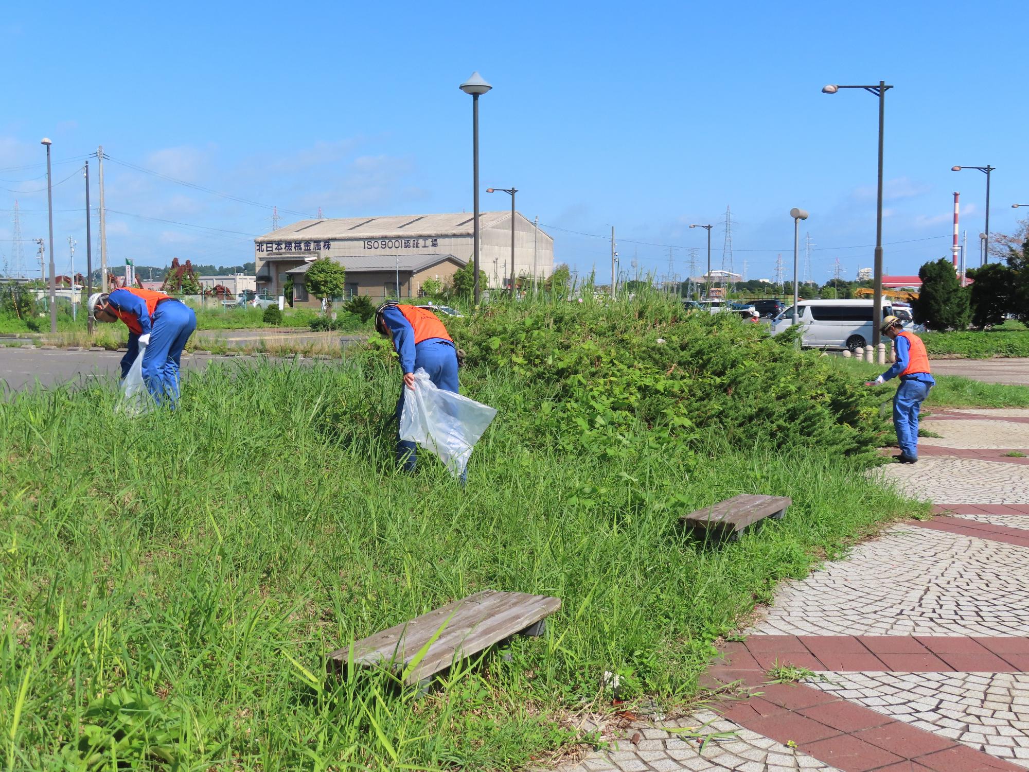 道路脇の草地のごみを拾う写真