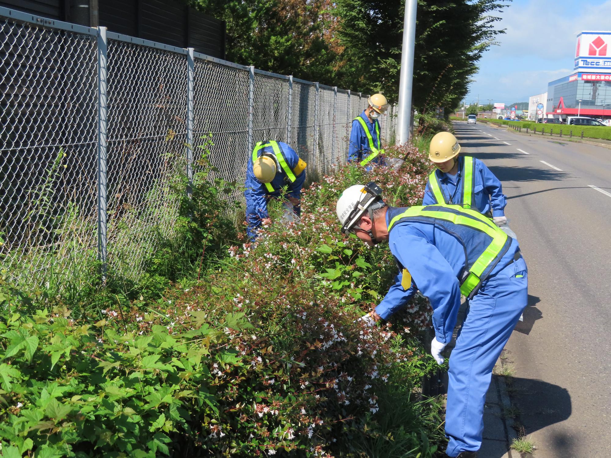 道路脇の草地のごみを拾う写真2