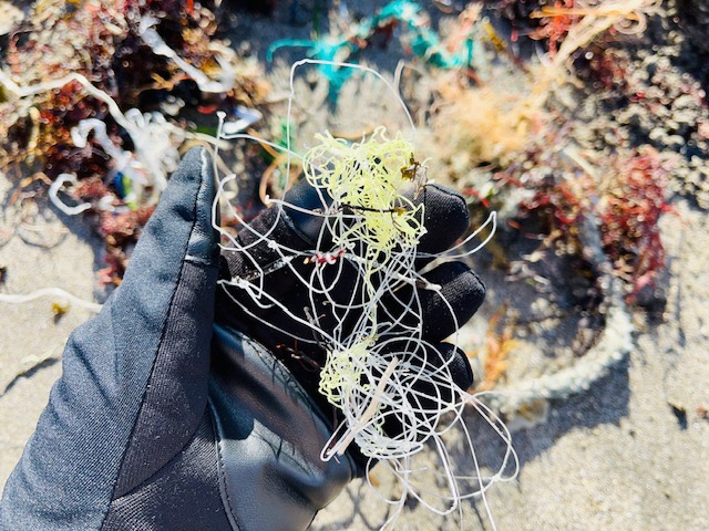 砂浜に打ち上げられた釣り糸を手に持っている写真