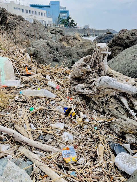 遠くにマリエントが見える海岸。漂着した枝木とプラスチック製品のごみの写真
