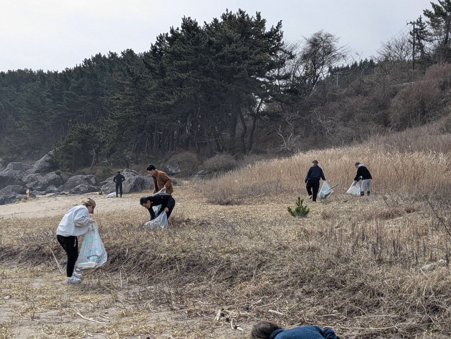 草原のごみを拾っている様子