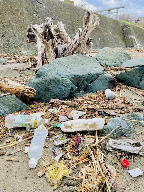 打ち上げられたペットボトルごみの様子