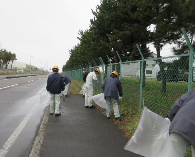 道路脇の草地のごみを拾う写真 1