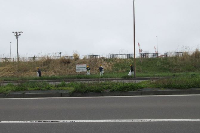 道路脇の草地のごみを拾う写真 2
