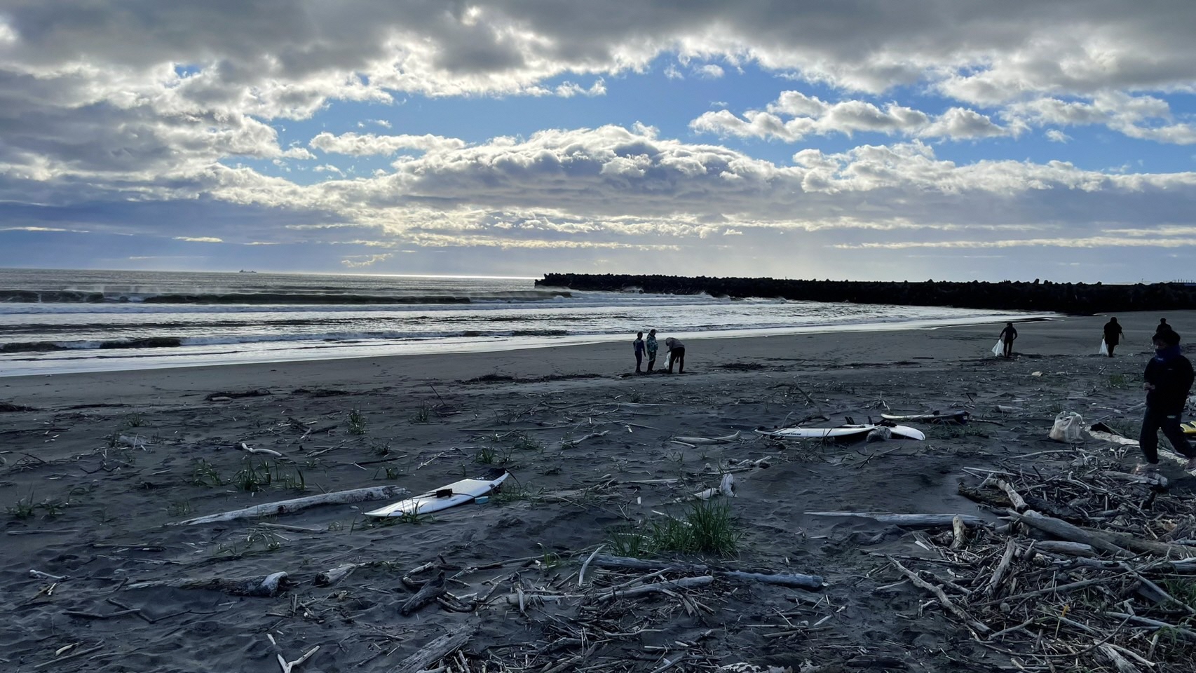 海岸のごみを拾う写真 3