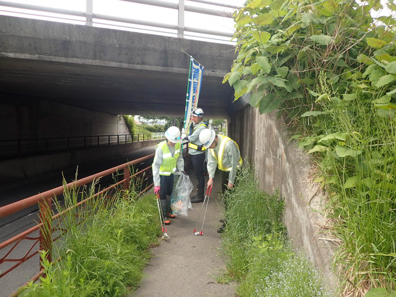 道路脇の草地のごみを拾う写真3