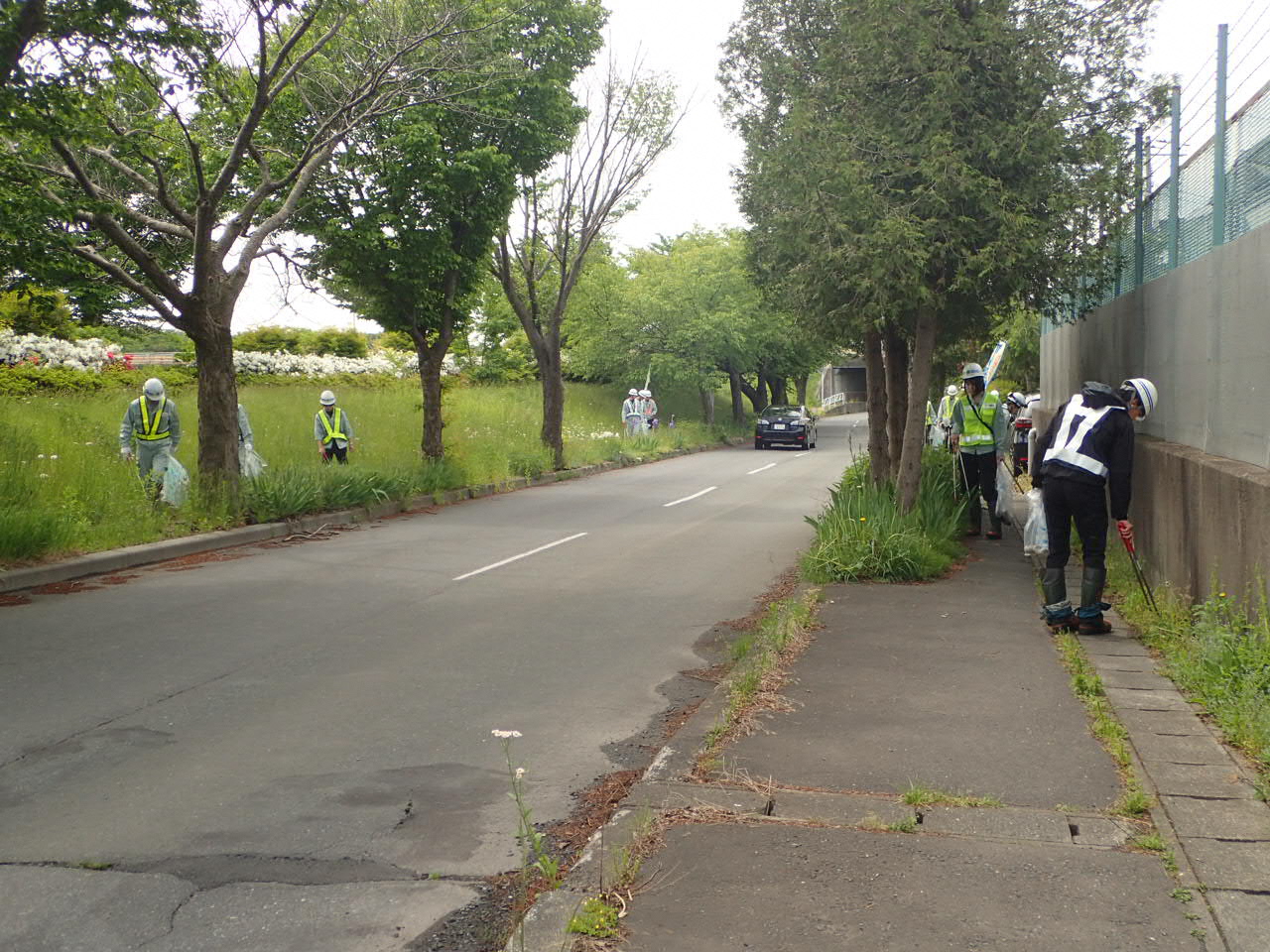道路脇の草地のごみを拾う写真2