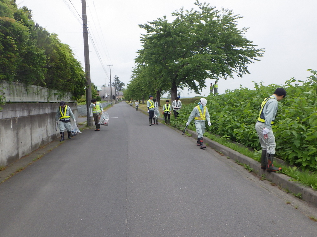 道路脇の草地のごみを拾う写真2