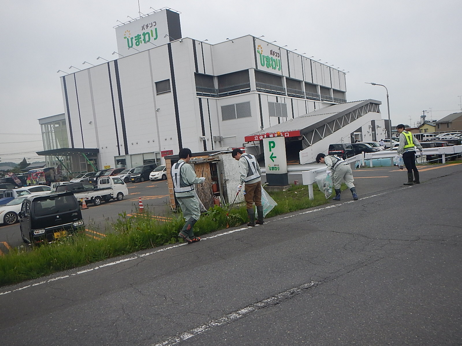 道路脇の草地のごみを拾う写真3
