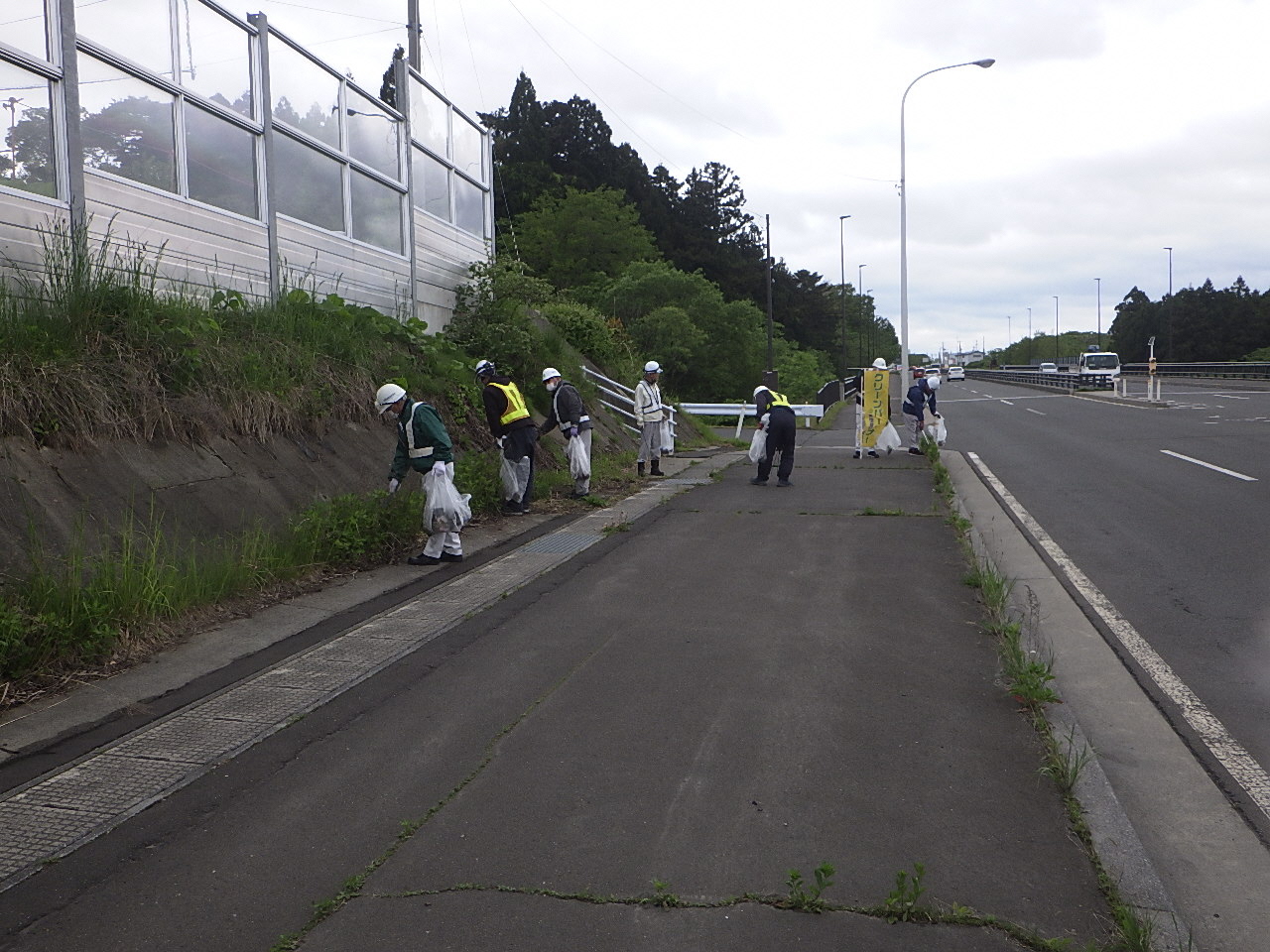 道路脇の草地のごみを拾う写真3