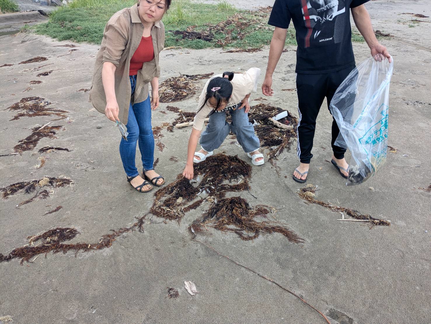 海岸のごみを拾う写真 1