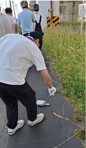 道路脇の草地のごみを拾う写真4