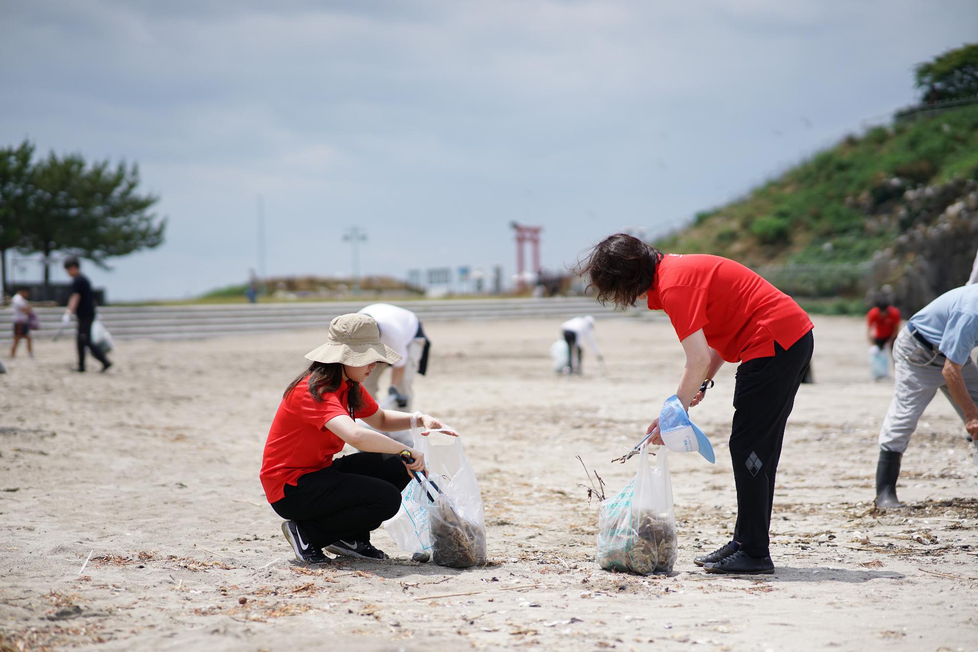 海岸のごみを拾う写真 2