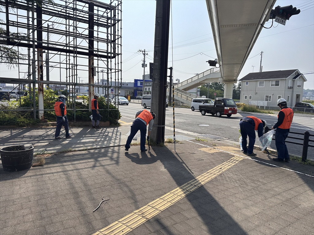 道路脇の草地のごみを拾う写真