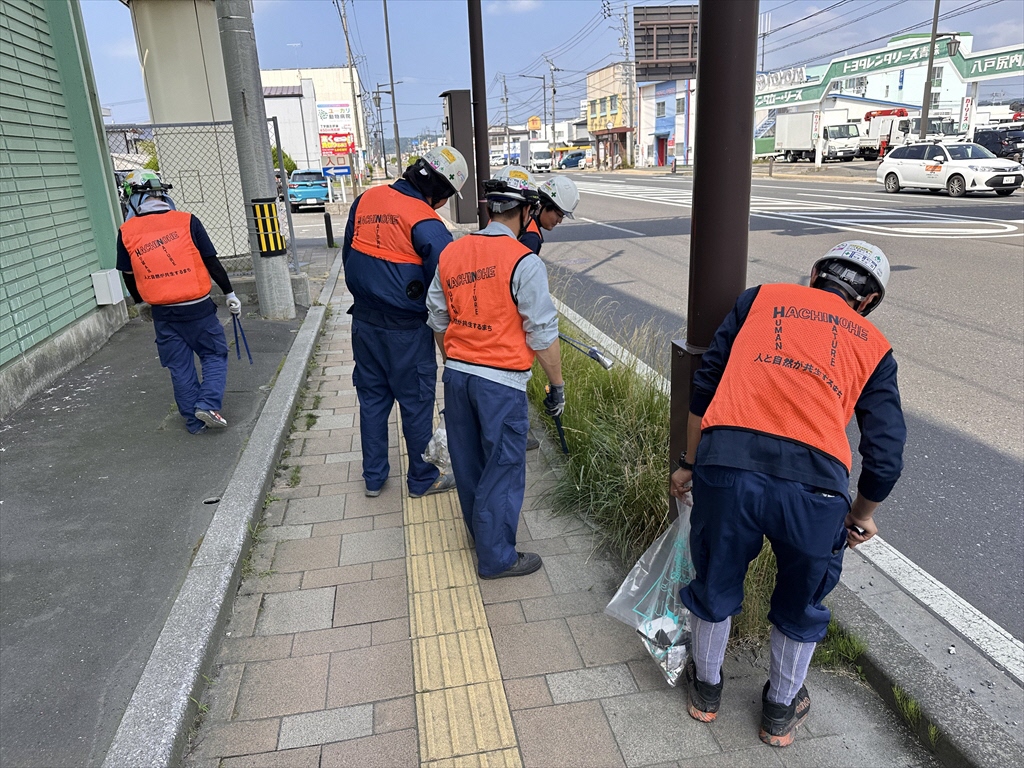 道路脇の草地のごみを拾う写真2