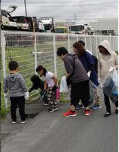 道路脇の草地のごみを拾う写真3