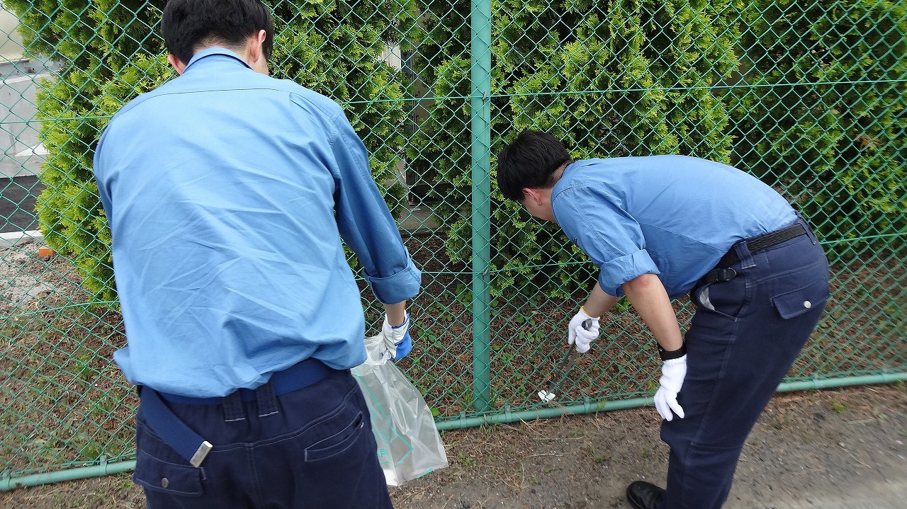 道路脇の草地のごみを拾う写真1