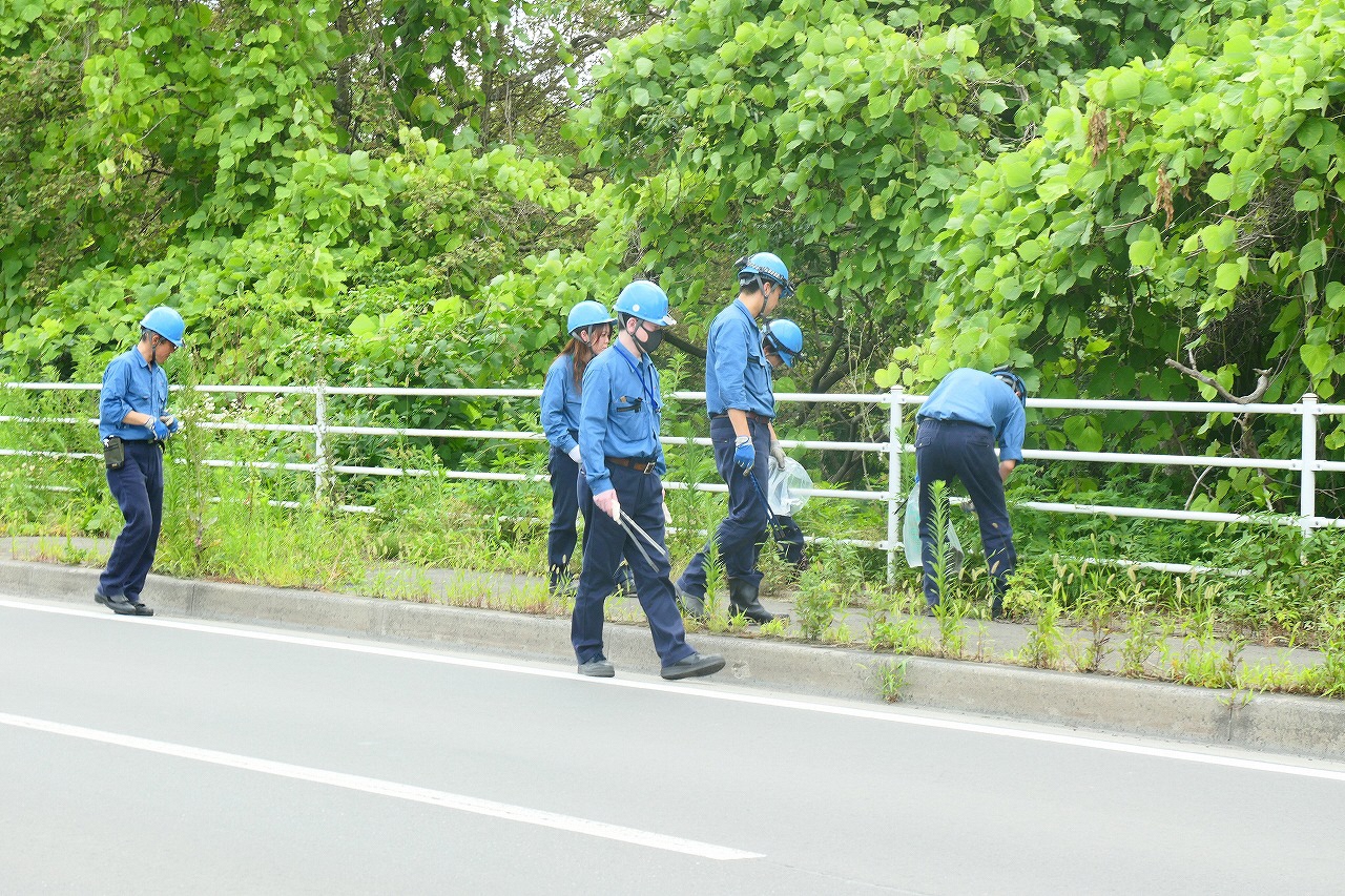 道路脇の草地のごみを拾う写真3
