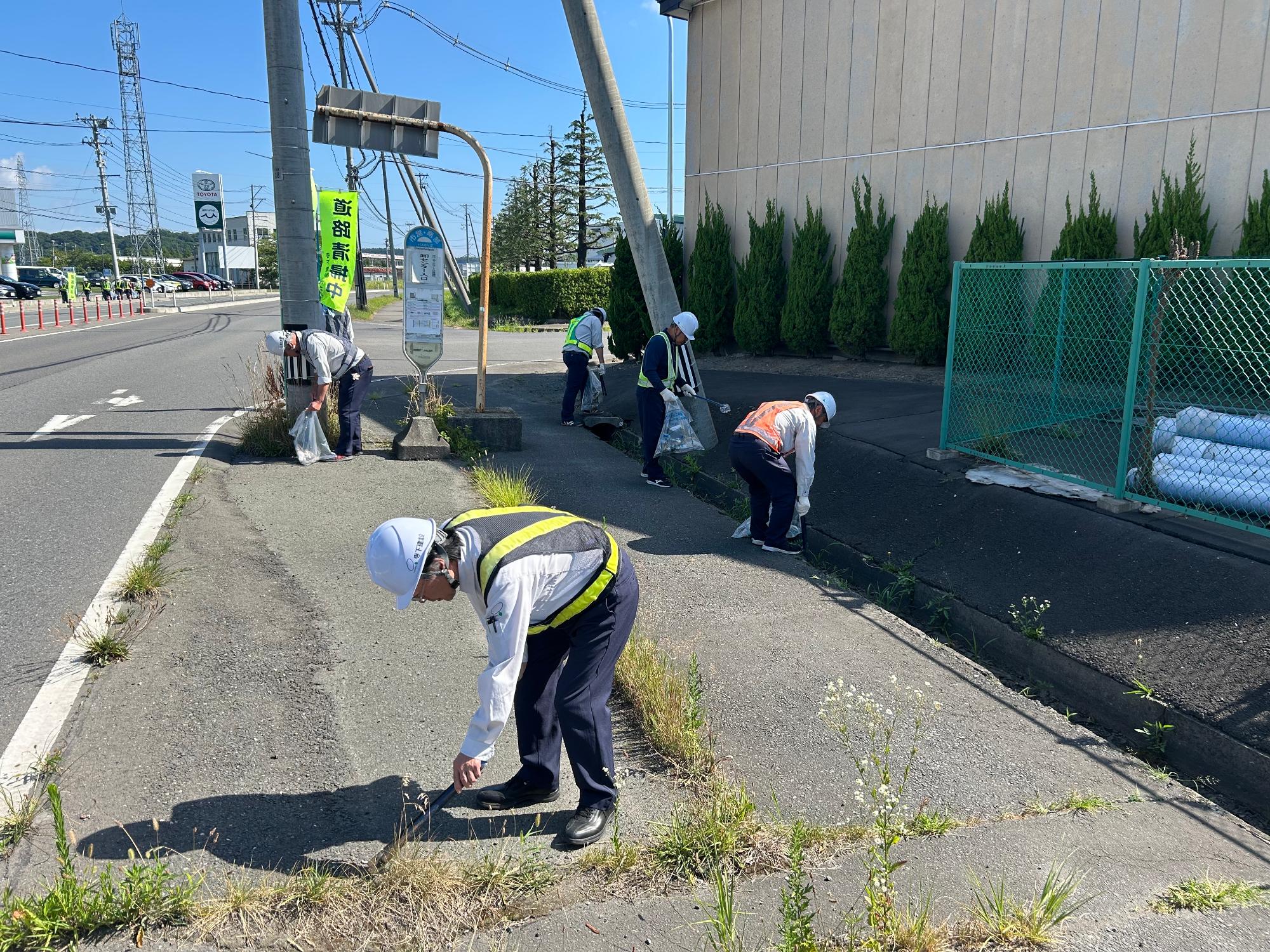 道路脇の草地のごみを拾う写真 2