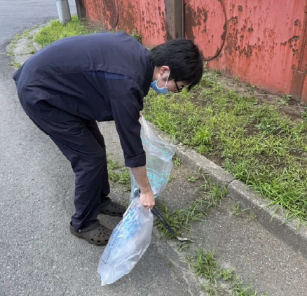 道路脇の草地のごみを拾う写真3