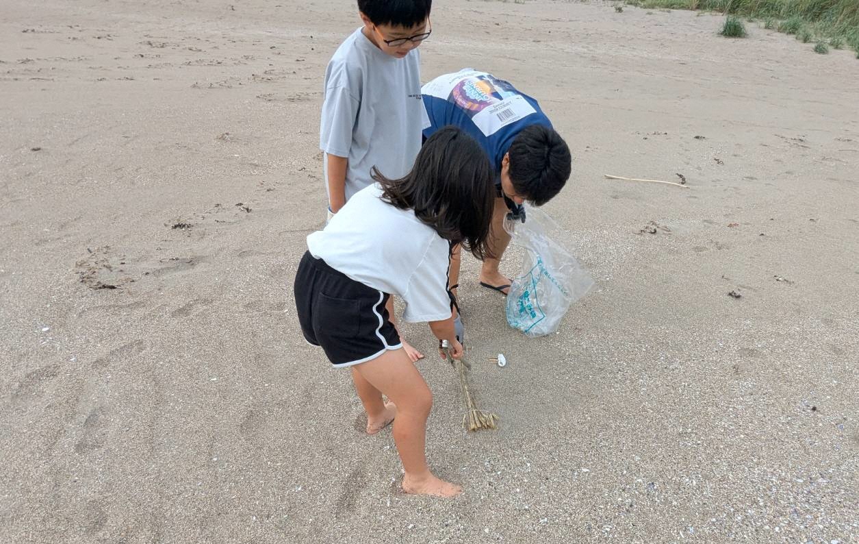 海岸のごみを拾う写真 3