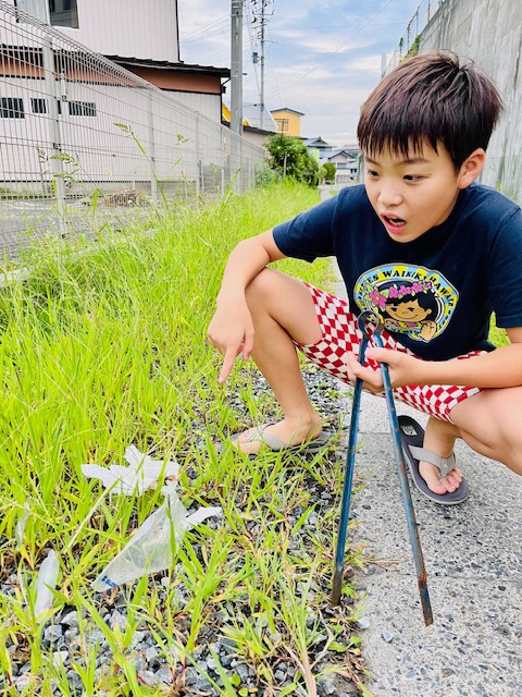 道路脇の草地のごみを拾う写真3