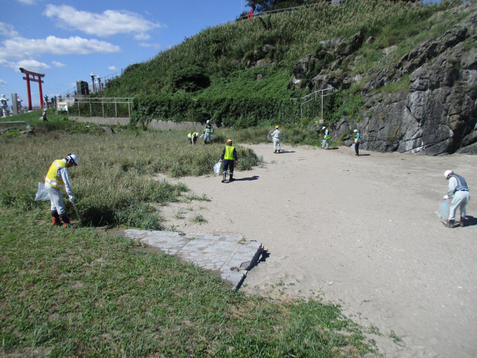 海岸のごみを拾う写真